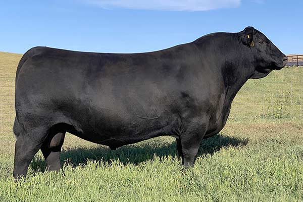 S A V Territory 7225